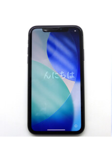 Apple iPhone 11 64GB A2221 EMC 3304 Space Grau Smartphone...