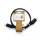 DisplayPort Anschlusskabel DisplayPort Stecker, DisplayPort Stecker 1.00 m Schwarz UHD 4K @ 60 Hz vergoldete