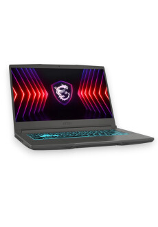 MSI Thin 15 B13UC-3073 Intel&reg; Core&trade; i5-13420H Gaming Notebook 39.6 cm (15.6"")