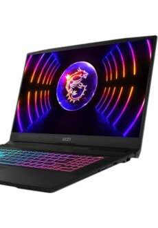 MSI Katana 17 B13UCRK-1426 43,9cm (17,3") i5-13420H...